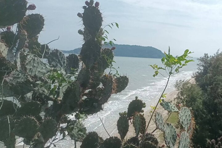 Sam Roi Yod National Park & Praya Nakhon Cave Privat tur fra Hua Hin