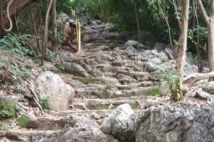 Sam Roi Yod National Park & Praya Nakhon Cave Privat tur fra Hua Hin