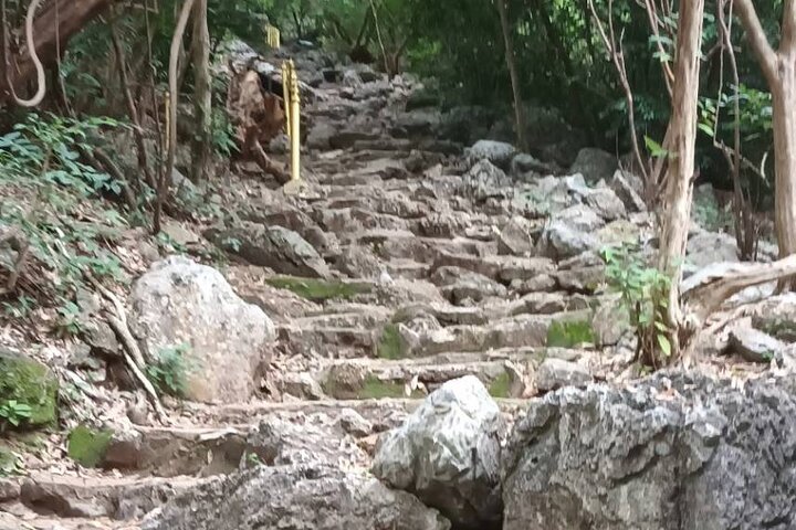 Sam Roi Yod National Park & Praya Nakhon Cave Deltag i gruppetur