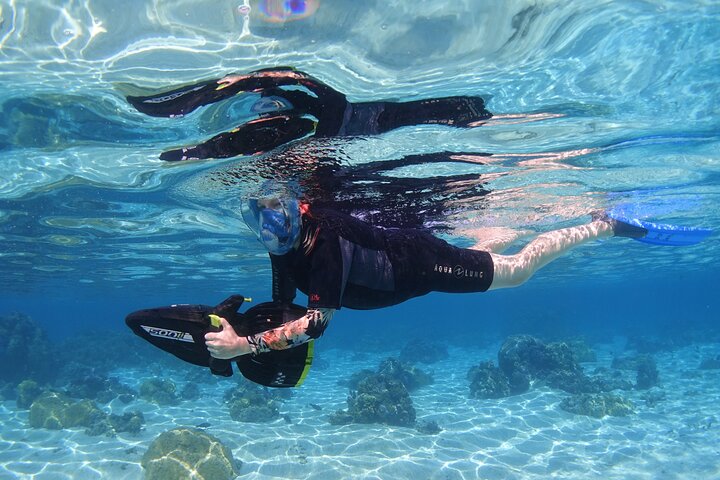 Sea Scooter Jet snorkling: svømme med skilpadder, stråler og haier