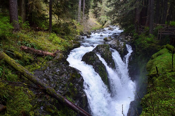 Rondleiding door Sol Duc, Lake Crescent en Hurricane Ridge in Olympic National Park