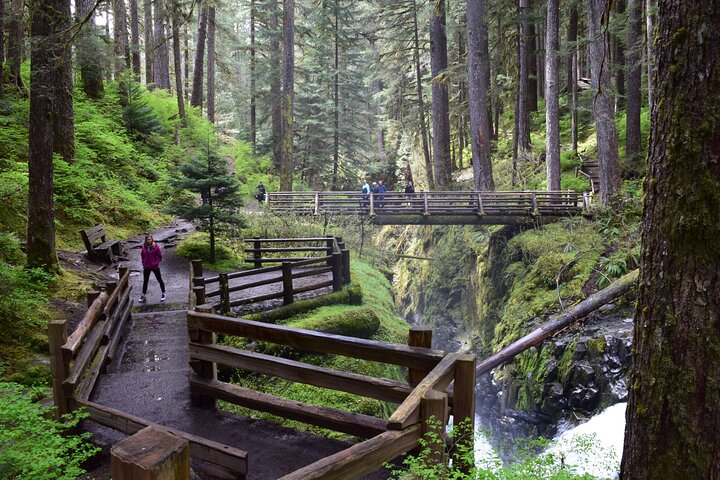 Rondleiding door Sol Duc, Lake Crescent en Hurricane Ridge in Olympic National Park