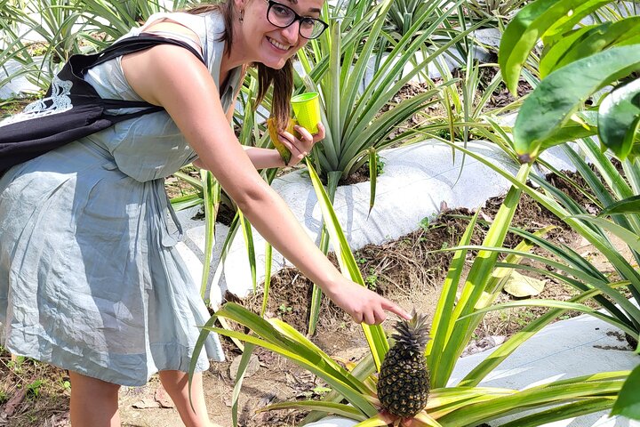 St. Lucia Food and Rum Tour - Proef authentiek St. Luciaans eten en cultuur