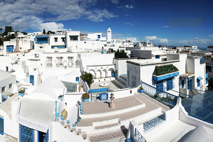 Cartago, Museo del Bardo, Sidi Bou Said y Medina Tour privado de un día