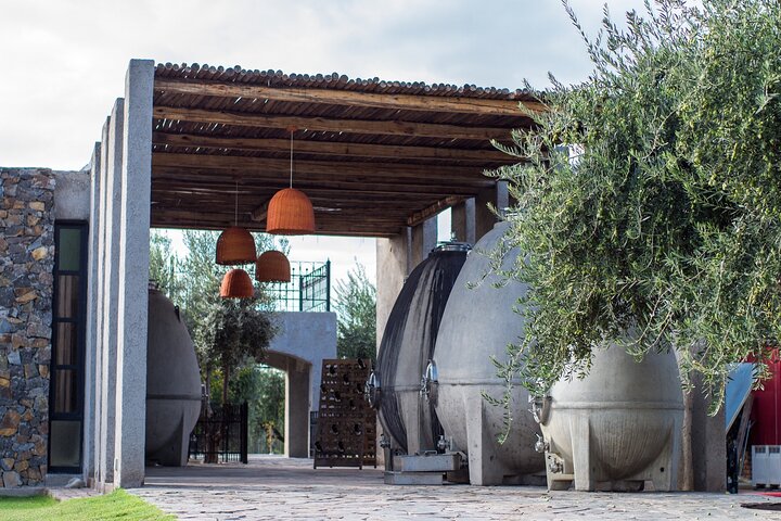 Catena Zapata Winery, El Enemigo Lunch och privat transport