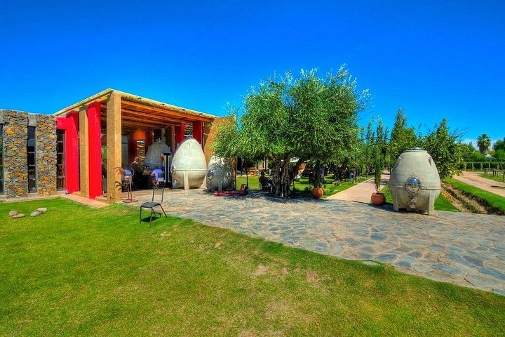 Catena Zapata Winery, El Enemigo Lunch och privat transport
