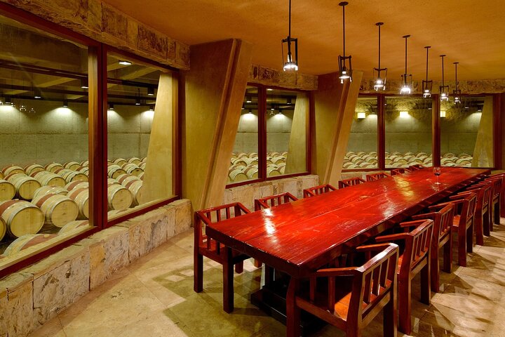 Catena Zapata Winery, El Enemigo Lunch och privat transport