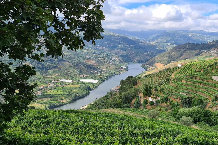 Douro Valley privat tur (vingård + båd + udsigtspunkt)