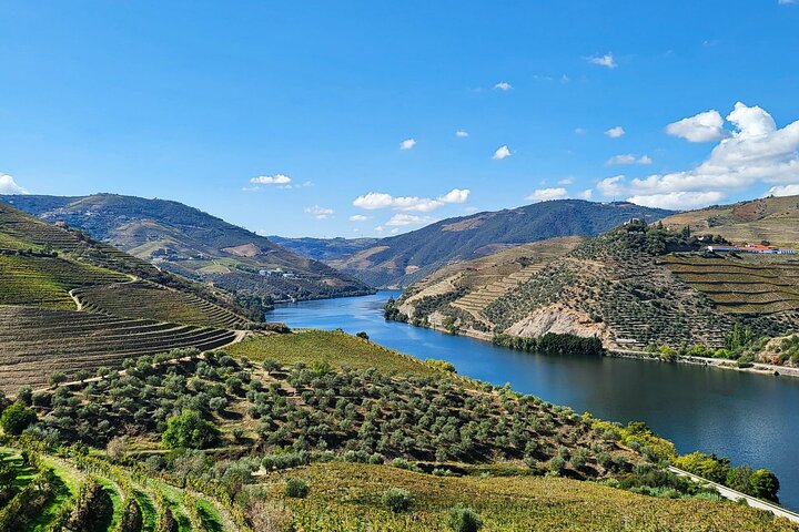 Privat Douro Valley Tour (2 vingårder + båt)