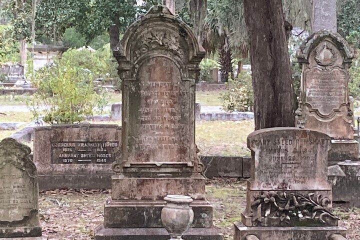 Tour guidato di 1 ora del carrello da golf del Bonaventure Cemetery a Savannah