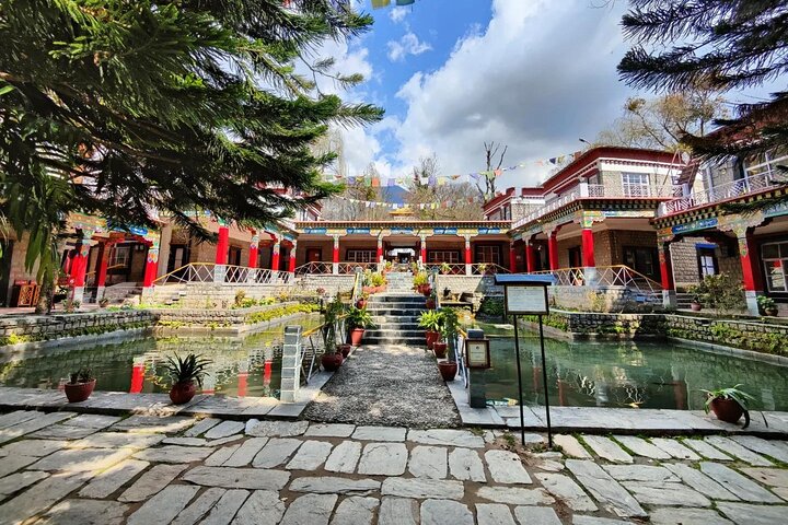 Tour guidato, mini Tibet Mcleodganj dell'India - Cultura