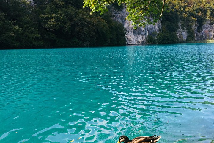 Tour guidato di Zadar ai Laghi di Plitvice con biglietti