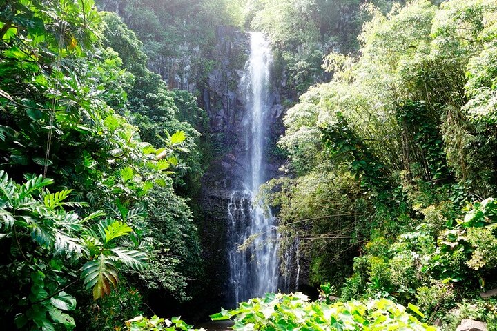 Route vers la forêt tropicale de Hana, la plage de sable noir, les cascades et le déjeuner