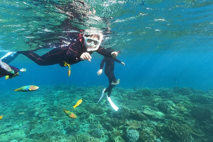 Okinawa : Båtsnorkling 1 runda vid Minna, Sesoko eller Motobu