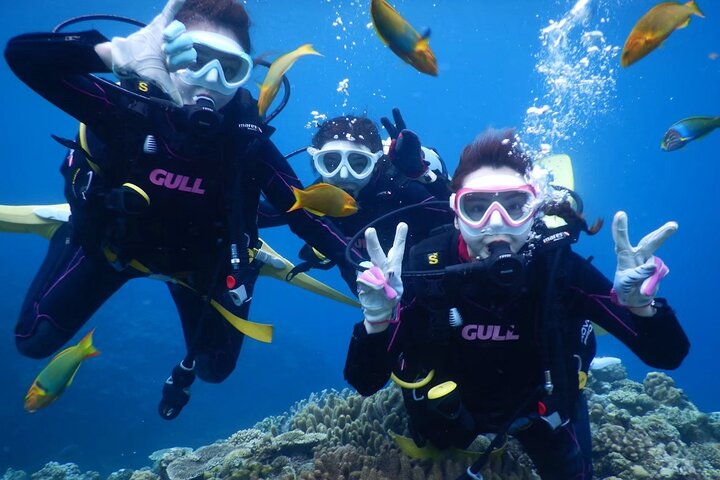 Okinawa: Discover SCUBA Diving 2 Dives at Minna, Sesoko or Motobu