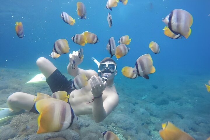 Gita di un giorno tutto compreso a Nusa Penida