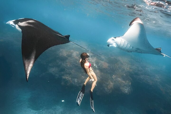 Gita di un giorno tutto compreso a Nusa Penida