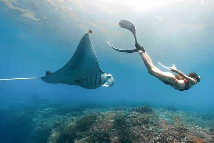 Gita di un giorno tutto compreso a Nusa Penida