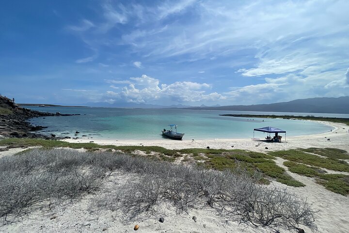 Tur till Coronado Island med snorklingaktivitet och picknick