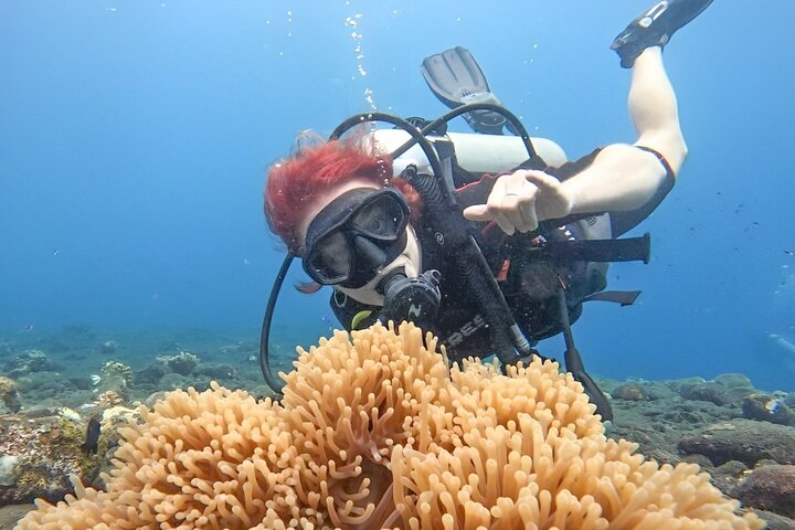 Buceo en Tulamben Buceo en el naufragio del USS Liberty