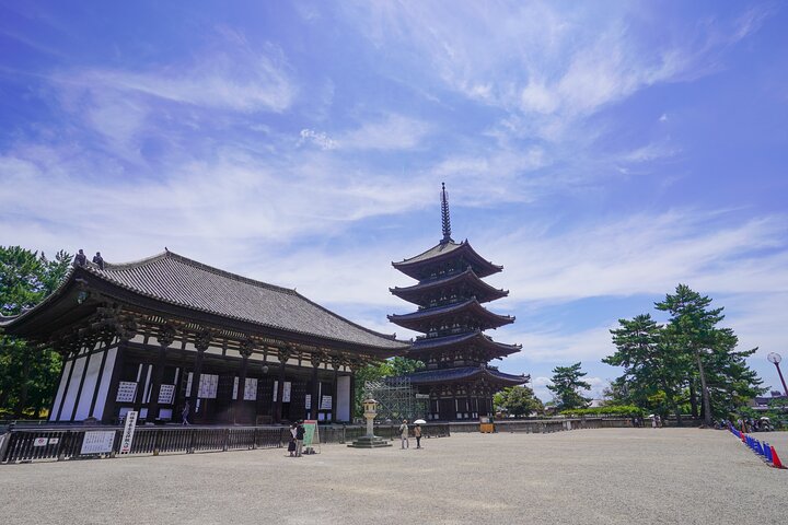 Tour a piedi di mezza giornata a Nara (opzione privata disponibile)
