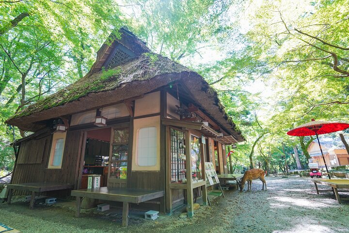 Tour a piedi di mezza giornata a Nara (opzione privata disponibile)