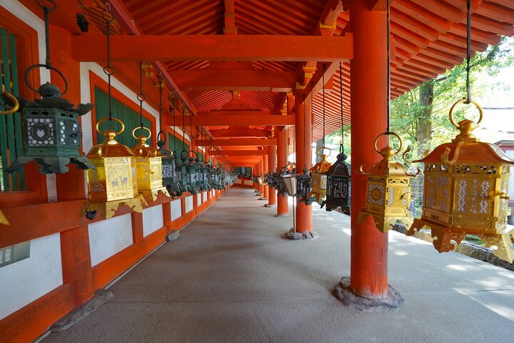 Tour a piedi di mezza giornata a Nara (opzione privata disponibile)