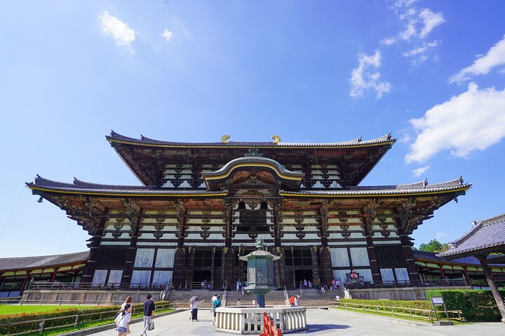 Tour a piedi di mezza giornata a Nara (opzione privata disponibile)