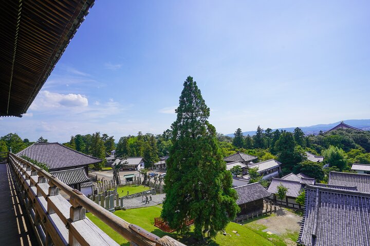 Tour a piedi di mezza giornata a Nara (opzione privata disponibile)
