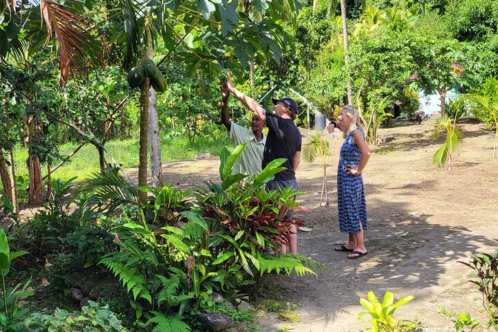 St. Lucia Food and Rum Tour - Proef authentiek St. Luciaans eten en cultuur