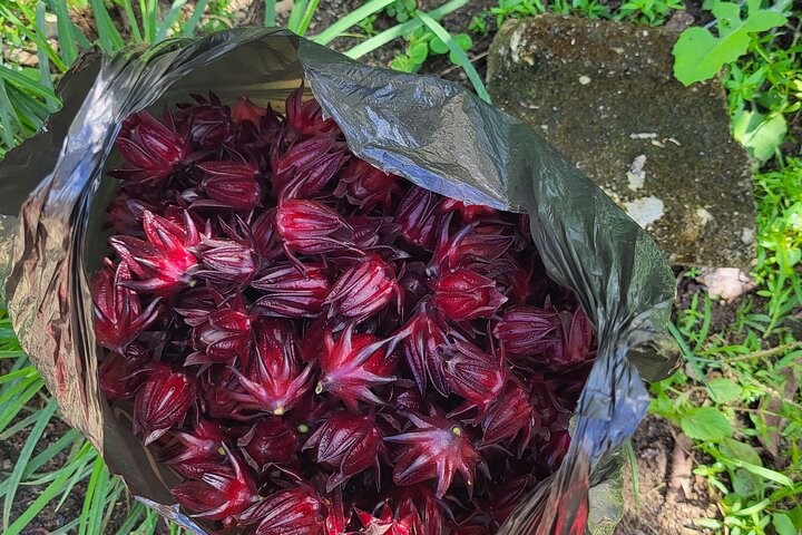 St. Lucia Food and Rum Tour - Proef authentiek St. Luciaans eten en cultuur