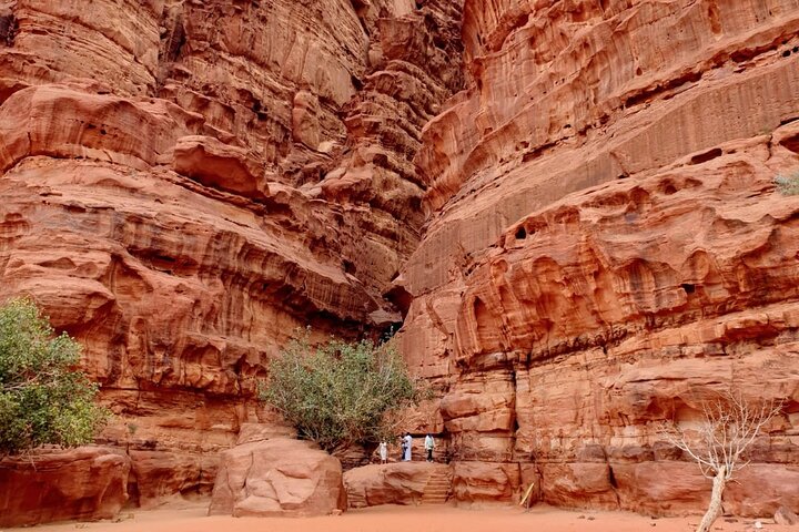 Excursion d'une journée en jeep dans le désert de Wadi Rum
