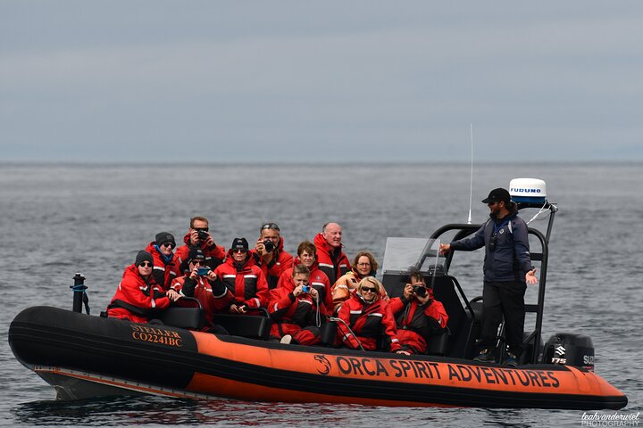 Tour de verão de observação de baleias em um barco do zodíaco em Victoria