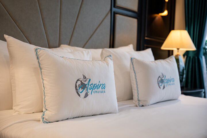 2 - Dag luksus Halong & Lan Ha Bay Aspira Cruise fra Hanoi