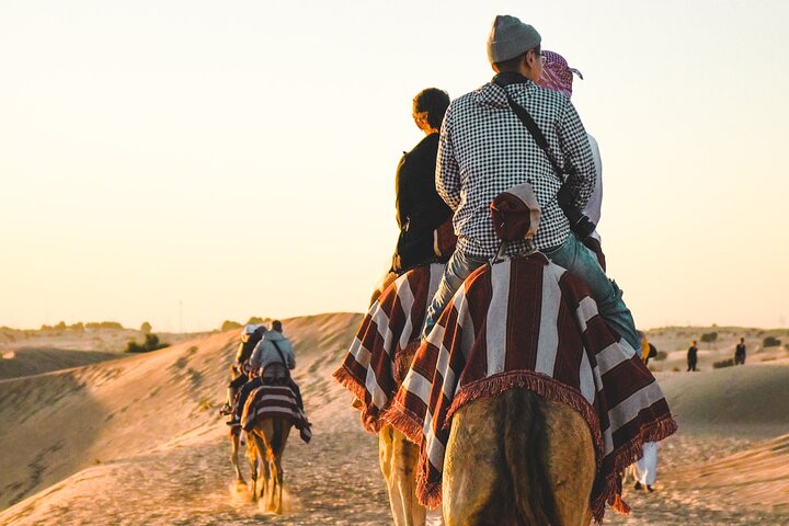 Excursion d'une journée en jeep dans le désert de Wadi Rum