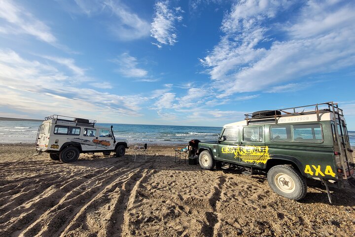 Excursion 3 horas en 4 x 4 por los alrededores de Puerto Madryn