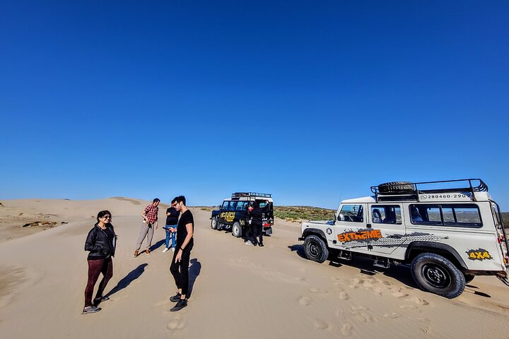 Excursion 3 horas en 4 x 4 por los alrededores de Puerto Madryn