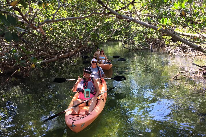 Manglares y manatíes - Tour ecológico en kayak guiado