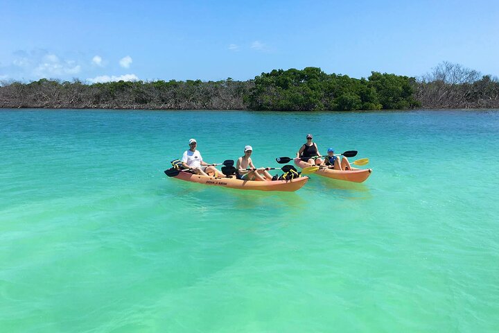 Manglares y manatíes - Tour ecológico en kayak guiado