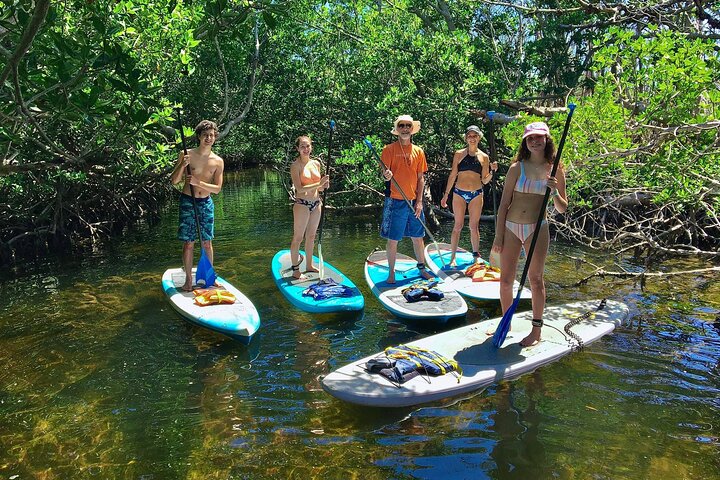Manglares y manatíes - Tour ecológico en kayak guiado