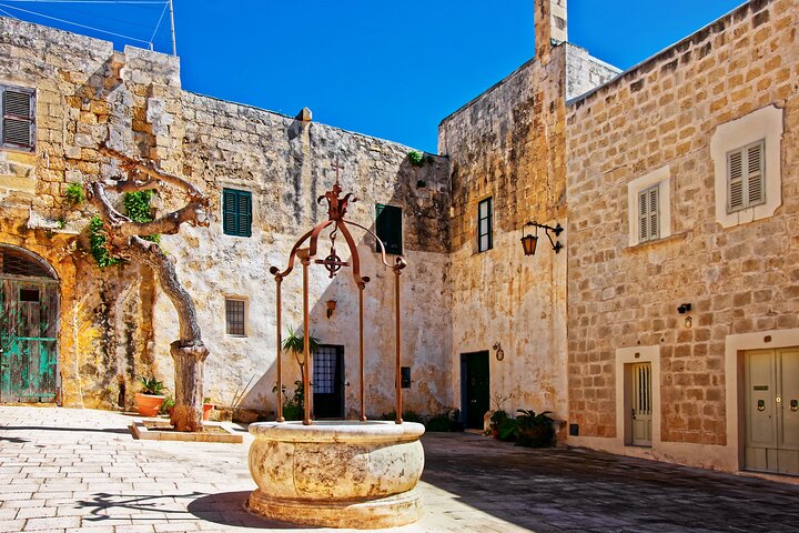 Mdina, Dingli Cliffs and San Anton Gardens Half-Day Guided Tour