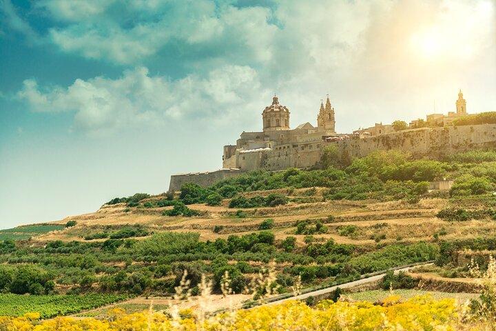Mdina, Dingli Cliffs and San Anton Gardens Half-Day Guided Tour