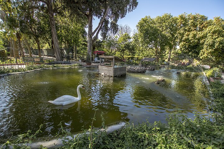 Mdina, Dingli Cliffs and San Anton Gardens Half-Day Guided Tour