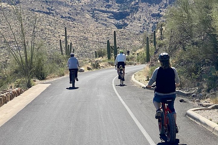 Tour in bici elettrica del Parco nazionale del Saguaro est