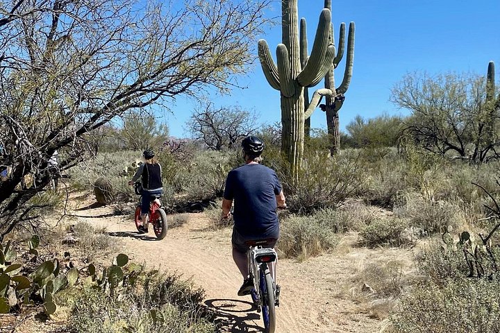 Tour in bici elettrica del Parco nazionale del Saguaro est