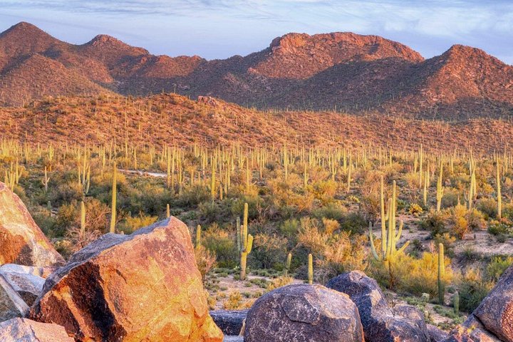Tour in bici elettrica del Parco nazionale del Saguaro est