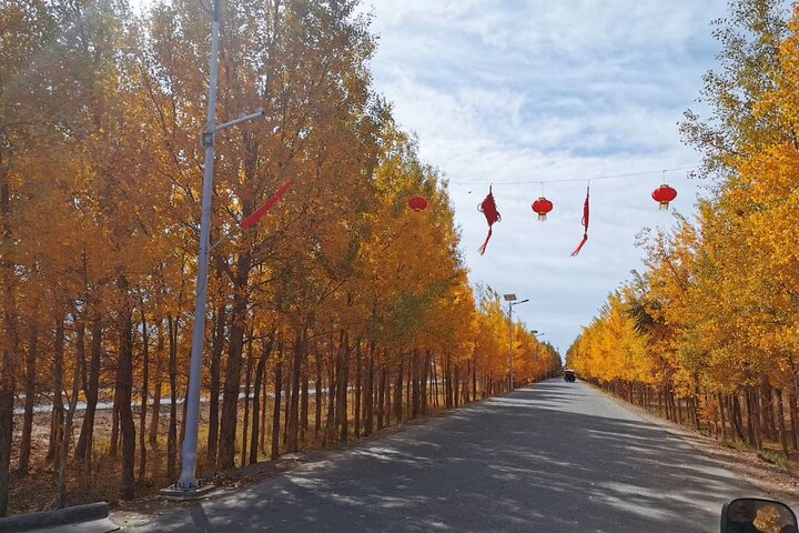 Privétour van een hele dag naar de Dawakun-woestijn vanuit Kashgar