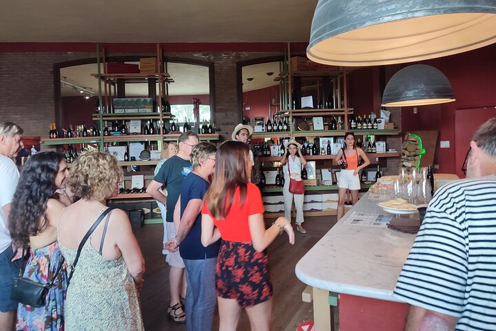 Privé wijntour door de magische heuvels van Lucca met een sommelier.