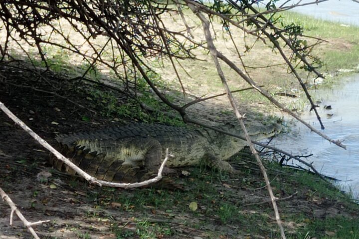 3 dager Selous (Nyerere nasjonalpark) Safari fra Zanzibar og tilbake