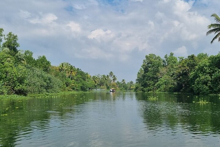 Cochin : Ecoboottocht met lunch door Backwater Village